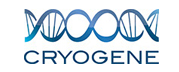 Cryogene
